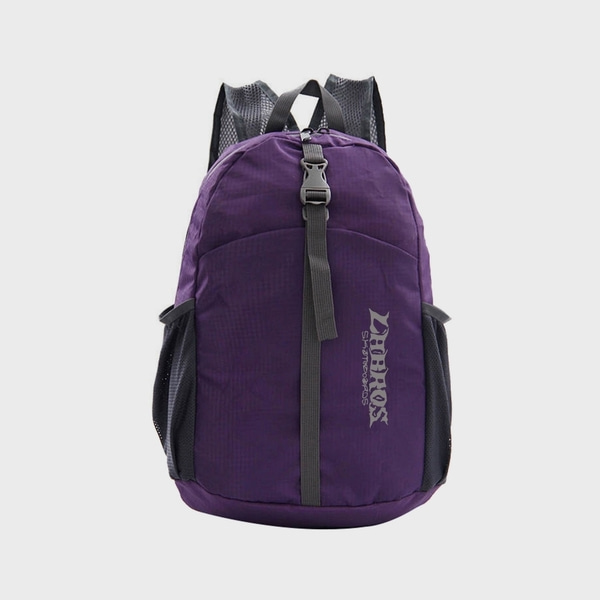 라브로스 백팩   Skate Logo Backpack (Purple)  LABROS